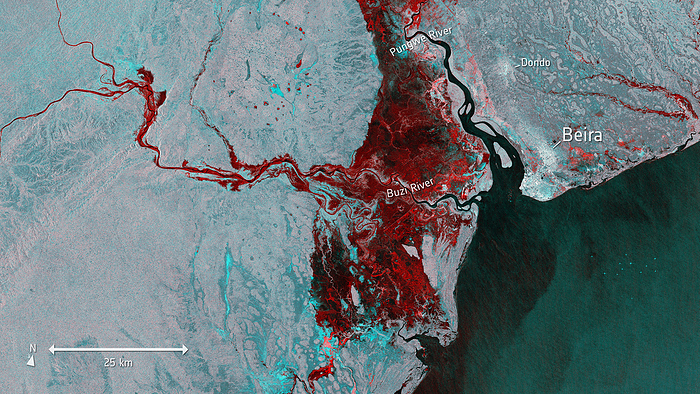 Flooding after cyclone Idai, satellite image Labelled, coloured satellite image of Beira, Mozambique showing some of the flooding  red  caused by cyclone Idai on 19 March 2019. The extreme wind speeds that characterise cyclones cause sea levels to rise, in what is known as a storm surge. This can cause severe flooding, and is typically the main contributor to deaths during cyclones. Cyclone Idai was one of the worst tropical cyclones on record, causing over 1,500 deaths as well as widespread destruction of houses, crops and roads. This image was captured by the Copernicus Sentinel 1 satellite., by EUROPEAN SPACE AGENCY SCIENCE PHOTO LIBRARY