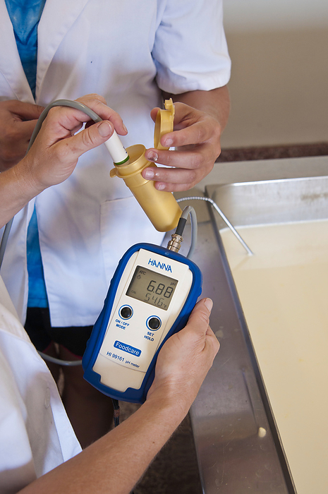 Testing milk pH during cheese production Farmers testing the pH of raw milk intended for use in cheese production in Maryland, USA. The pH meter shows a recording of 6.88. This is a typical value for raw milk and means the milk is very slightly acidic. Milk pH level is important in cheese production, and in part determines whether a soft or hard cheese will be produced., by Bob Nichols, US DEPARTMENT OF AGRICULTURE SCIENCE PHOTO  LIBRARY