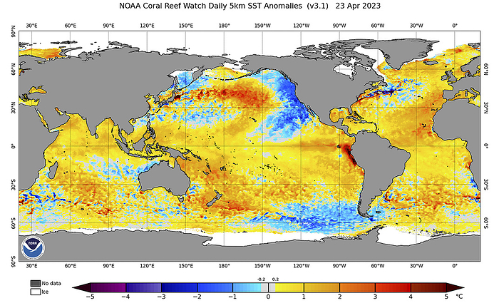 Global coral reef heat stress anomalies 2023 Global coral reef heat stress anomalies on 23 April 2023. The Coral Reef Watch program, run by the National Oceanic and Atmospheric Administration  NOAA , uses satellite data to track current environmental conditions of coral reefs. This helps identify areas at risk of coral bleaching, which occurs when corals lose their symbiotic algae and their distinctive colours due to heat stress. If coral is severely bleached, it can lead to disease and partial mortality, and the entire colony may die. The sea surface temperature scale ranges from  5 to  5 degrees Celsius. Positive numbers mean the temperature is warmer than average and negative means cooler than average., by NOAA SCIENCE PHOTO LIBRARY