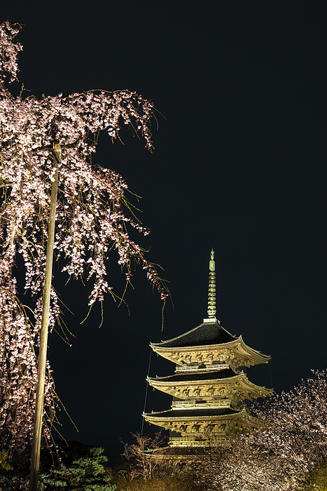 Lighting up Toji Temple, a World Heritage Site in Kyoto Prefecture