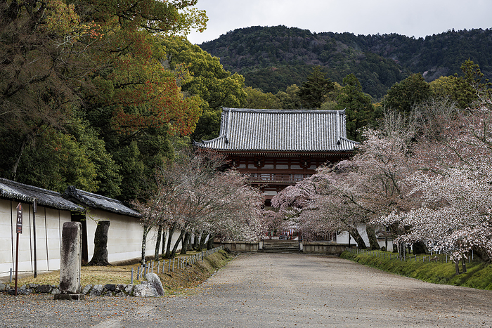 Niomon Gate, Daigoji Temple, Kyoto