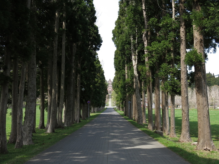 The main gate and main building of the Trappist Monastery as seen from the tree-lined Trappist Street in Hokuto City
