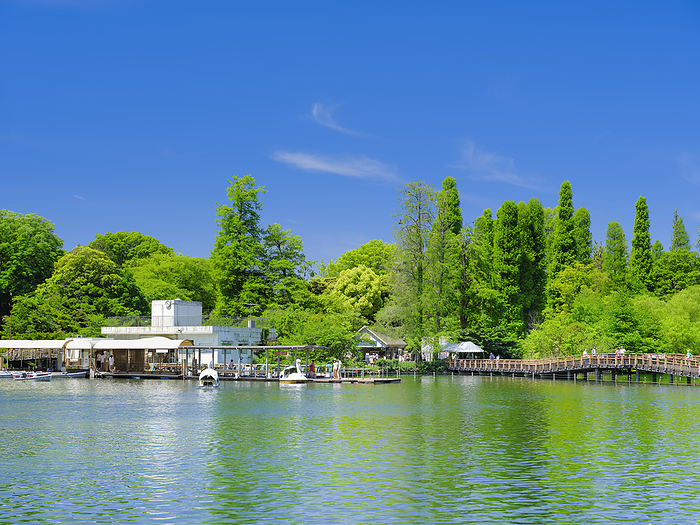 Inokashira Park in spring, Tokyo