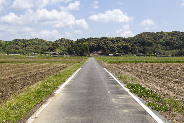 Natural scenery of Hamamatsu City, Shizuoka Prefecture
