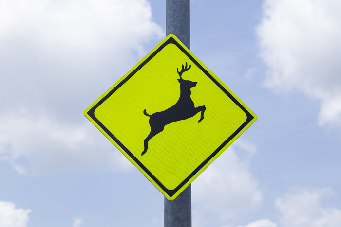 Road sign warning of animals