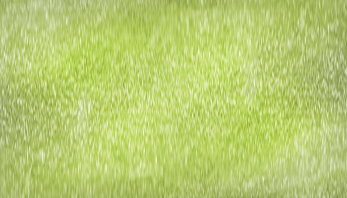 Green blurred textured background