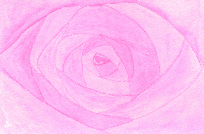 Watercolor background like rose Pink Rose