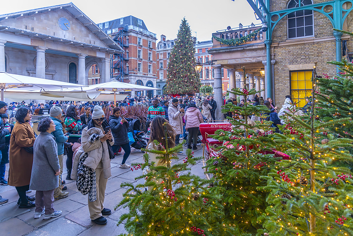 View of Christmas decorations in the Piazza, Covent Garden, London, England, United Kingdom, Europe View of Christmas decorations in the Piazza, Covent Garden, London, England, United Kingdom, Europe, by Frank Fell