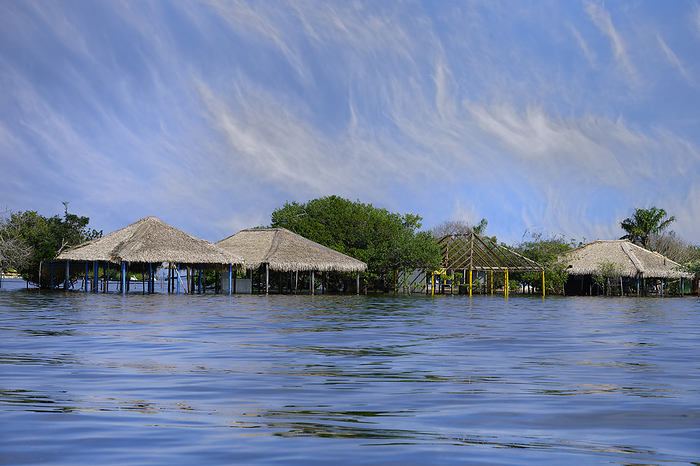 Flooded beach huts, Alter do Chao Beach, Tapajos River, Para state, Brazil Flooded beach huts, Alter do Chao Beach, Tapajos River, Para state, Brazil, South America, by G M Therin Weise