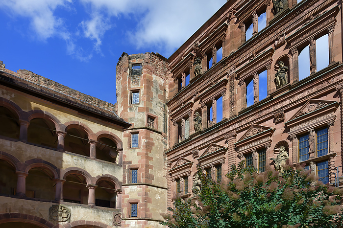 Heidelberg castle, Friedrich Wing, Pharmacy Museum of Germany and glass hall arcade, Heidelberg, Baden Wurttemberg, Germany Heidelberg Castle, Friedrich Wing, Pharmacy Museum of Germany and glass hall arcade, Heidelberg, Baden Wurttemberg, Germany, Europe, by G M Therin Weise