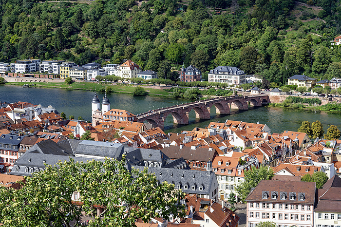 Heidelberg city center with the Old Bridge, Baden Wurttemberg, Germany Heidelberg city center with the Old Bridge, Heidelberg, Baden Wurttemberg, Germany, Europe, by G M Therin Weise