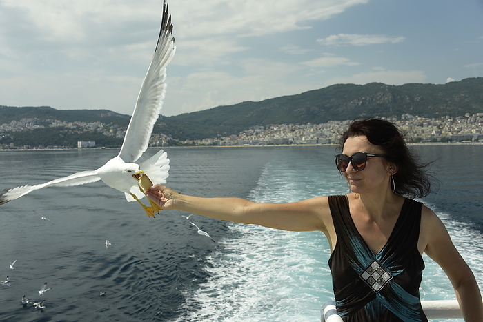 Woman feeding seagulls on a ferry from Kavala to Thassos, North Aegean Sea, Greek Islands, Greece, Europe Woman feeding seagulls on a ferry from Kavala to Thassos, North Aegean Sea, Greek Islands, Greece, Europe, by Michael Szafarczyk