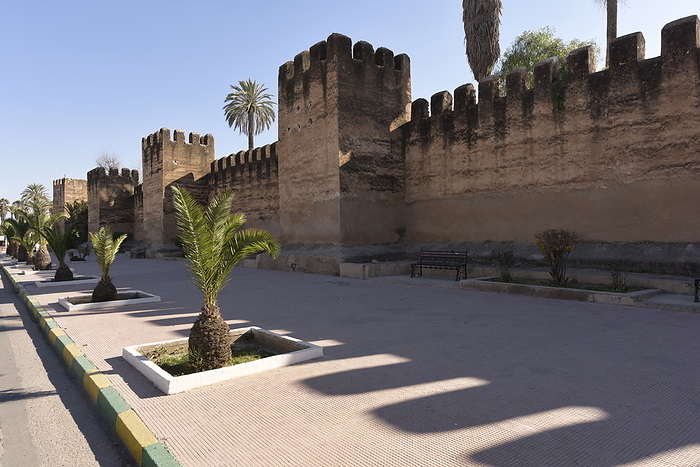 Taroudant, City Walls, Morocco Taroudant, City Walls, Morocco, North Africa, Africa, by Michael Szafarczyk