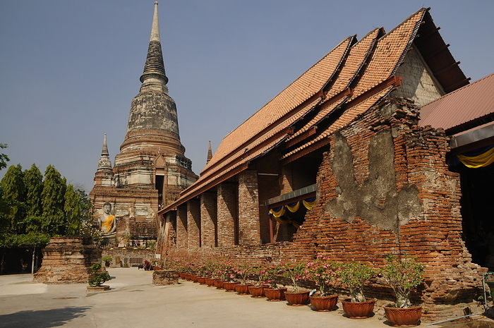 Wat Yai Chai Mongkhon, buddhist temple in Ayutthaya, Thailand Wat Yai Chai Mongkhon, Buddhist temple in Ayutthaya, UNESCO World Heritage Site, Thailand, Southeast Asia, Asia, by Michael Szafarczyk
