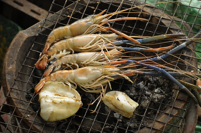 Grilled Shrimps and Squid, Thai Street Food, Bangkok, Thailand Grilled Shrimps and Squid, Thai Street Food, Bangkok, Thailand, Southeast Asia, Asia, by Michael Szafarczyk