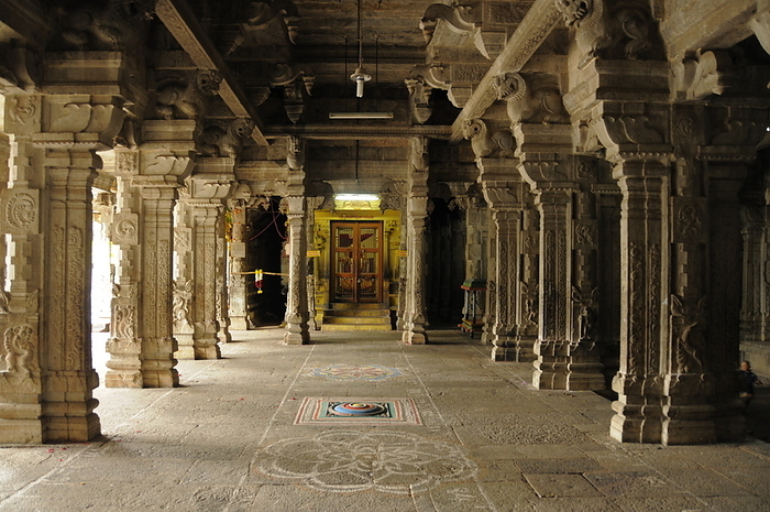 Devaraja Swami Temple, Hundred Pillared Mandapam, Kanchipuram, India Devaraja Swami Temple, Hundred Pillared Mandapam, Kanchipuram, India, Asia, by Michael Szafarczyk