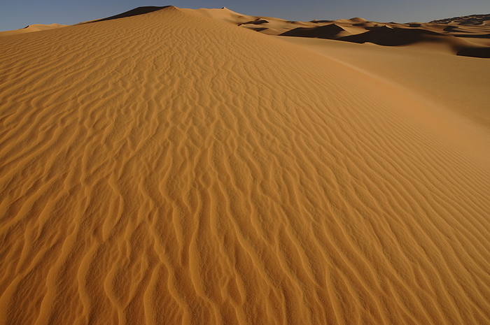Picturesque orange Dunes of Ubari, Sahara desert, Libya Picturesque orange Dunes of Ubari, Sahara Desert, Libya, North Africa, Africa, by Michael Szafarczyk