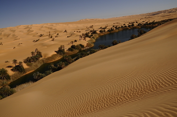Picturesque orange Dunes of Ubari, Sahara desert, Libya Picturesque orange Dunes of Ubari, Sahara Desert, Libya, North Africa, Africa, by Michael Szafarczyk