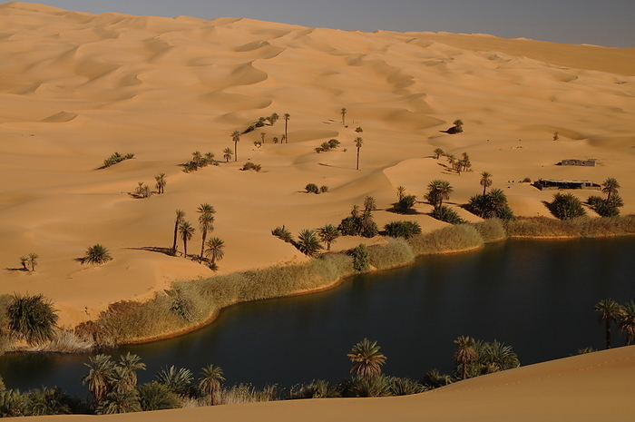 Picturesque orange Dunes of Ubari Oasis, Sahara desert, Libya Picturesque orange Dunes of Ubari Oasis, Sahara Desert, Libya, North Africa, Africa, by Michael Szafarczyk