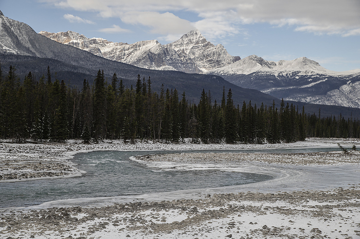 Athabasca River in winter, Icefields Parkway, Jasper National Park, Alberta, Canadian Rockies Athabasca River in winter, Icefields Parkway, Jasper National Park, UNESCO World Heritage Site, Alberta, Canadian Rockies, Canada, North America, by Jon Reaves