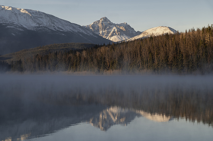 Mount Fitzwilliam at Pyramid Lake in Autumn with snow and morning mist, Jasper National Park, Alberta, Canadian Rockies Mount Fitzwilliam at Pyramid Lake in Autumn with snow and morning mist, Jasper National Park, UNESCO World Heritage Site, Alberta, Canadian Rockies, Canada, North America, by Jon Reaves