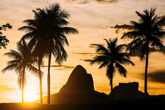 Sunset in Rio de Janeiro, Brazil with the iconic Two Brothers Mountains in the backgrounds with palm trees on the foreground Sunset with the iconic Two Brothers Mountains in the backgrounds with palm trees in the foreground, Rio de Janeiro, Brazil, South America, by Alexandre Rotenberg