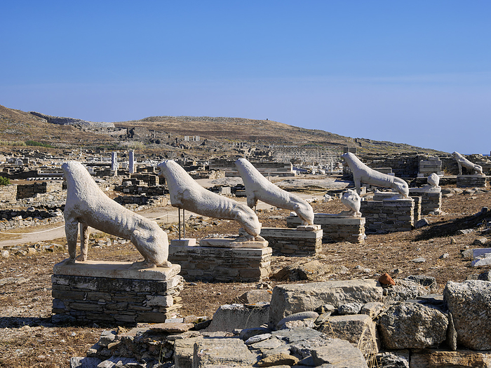 The Terrace of the Lions, Delos Archaeological Site, Delos Island, Cyclades, Greece The Terrace of the Lions, Delos Archaeological Site, UNESCO World Heritage Site, Delos Island, Cyclades, Greek Islands, Greece, Europe, by Karol Kozlowski