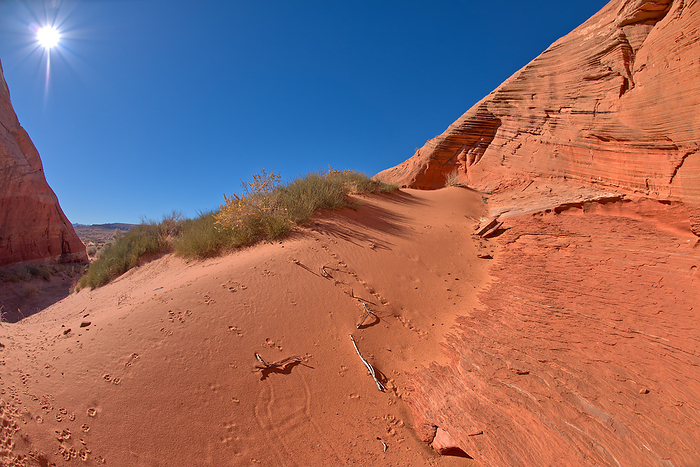 A red sand dune below a sandstone mesa, at Ferry Swale in the Glen Canyon Recreation Area near Page Arizona. A red sand dune below a sandstone mesa, at Ferry Swale in the Glen Canyon Recreation Area near Page, Arizona, United States of America, North America, by Steven Love