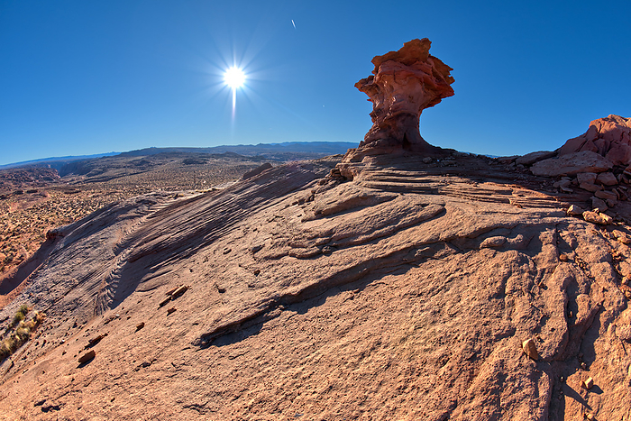 A sandstone hoodoo at Ferry Swale in the Glen Canyon Recreation Area near Page Arizona. A sandstone hoodoo at Ferry Swale in the Glen Canyon Recreation Area near Page, Arizona, United States of America, North America, by Steven Love