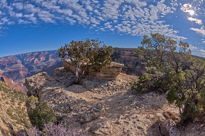 An outcrop of rock overlooking the Bright Angel Trail below at Grand Canyon South Rim Arizona off of Hermit Road. An outcrop of rock overlooking the Bright Angel Trail below at Grand Canyon South Rim off Hermit Road, Grand Canyon, UNESCO World Heritage Site, Arizona, United States of America, North America, by Steven Love