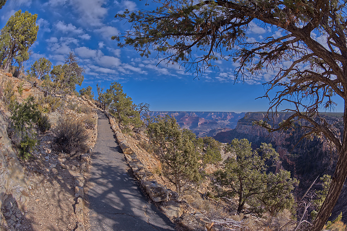 The paved rim trail along the cliffs of Grand Canyon South Rim Arizona between the village and Trailview Overlook Vista. The paved rim trail along the cliffs of Grand Canyon South Rim between the village and Trailview Overlook Vista, Grand Canyon, UNESCO World Heritage Site, Arizona, United States of America, North America, by Steven Love