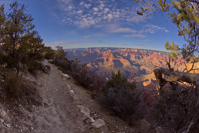 A dirt section of the rim trail between Hopi Point and Mohave Point at Grand Canyon Arizona. A dirt section of the rim trail between Hopi Point and Mohave Point, Grand Canyon, UNESCO World Heritage Site, Arizona, United States of America, North America, by Steven Love
