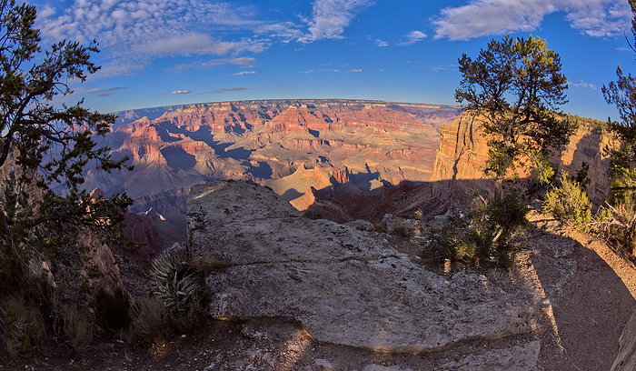 Grand Canyon Arizona view from a cliff between Hopi Point and Mohave Point. Grand Canyon view from a cliff between Hopi Point and Mohave Point, Grand Canyon, UNESCO World Heritage Site, Arizona, United States of America, North America, by Steven Love