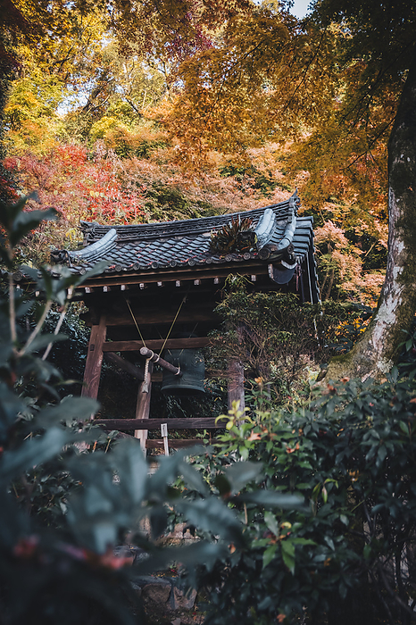 Seikan ji Temple Gate with autumn colors in Kyoto, Japan Seikan ji Temple Gate with autumn colors, Kyoto, Honshu, Japan, Asia, by Francesco Fanti