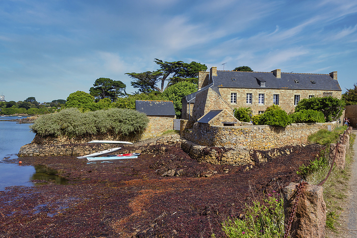France Cottage, Ile de Brehat, Cotes d Armor, Brittany, France, Europe, by Camillo Balossini