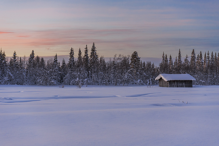 Isolated wooden cottage covered with thick snow in the arctic environment seen at dusk, winter view, Tjautjas, Gallivare municipality, Norrbotten county, Swedish Lapland, Sweden, Scandinavia, Europe Isolated wooden cottage covered with thick snow in the Arctic environment at dusk in winter, Tjautjas, Gallivare municipality, Norrbotten county, Swedish Lapland, Sweden, Scandinavia, Europe, by Paolo Graziosi