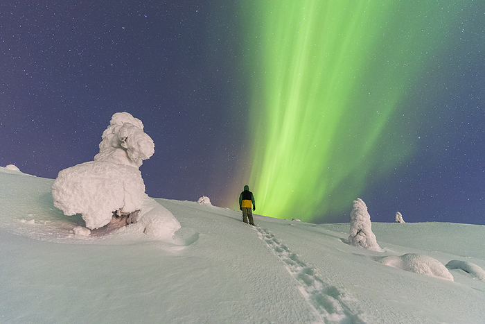 Night view of a man climbing the snowy hill with trees covered with snow and ice while admiring the green color of the northern lights  aurora borealis , Tjautjas, Gallivare municipality, Norrbotten county, Swedish Lapland, Sweden, Scandinavia, Europe Night view of a man climbing a hill with trees covered with snow and ice, admiring the green of the Northern Lights  Aurora Borealis , Tjautjas, Gallivare municipality, Norrbotten county, Swedish Lapland, Sweden, Scandinavia, Europe, by Paolo Graziosi