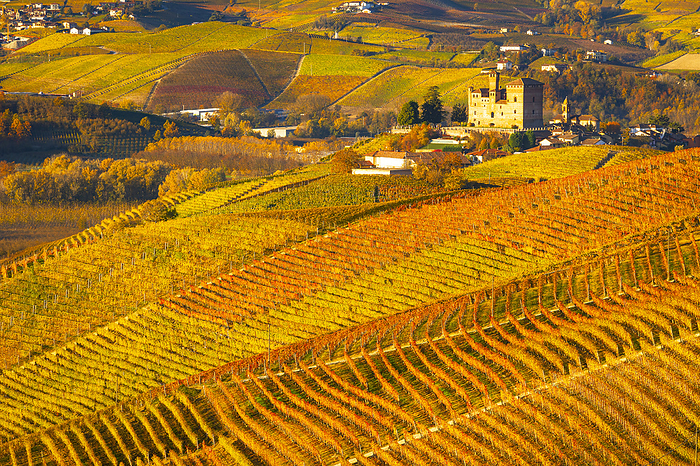 a beautiful view of the Grinzane Cavour castle and vineyards, during a beautiful autumn day, Unesco World Heritage Site, Cuneo province, Piedmont, Italy, Europe Beautiful view of the Grinzane Cavour Castle and vineyards, on an autumn day, UNESCO World Heritage Site, Cuneo province, Piedmont, Italy, Europe, by carlo alberto conti
