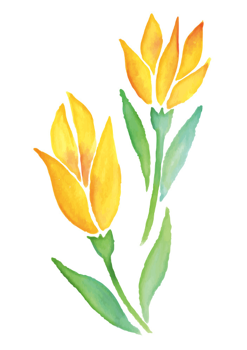 Yellow flowers painted in watercolor