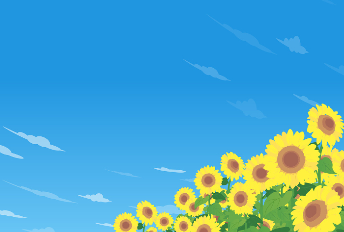 Clip art of sunflower field and blue summer sky