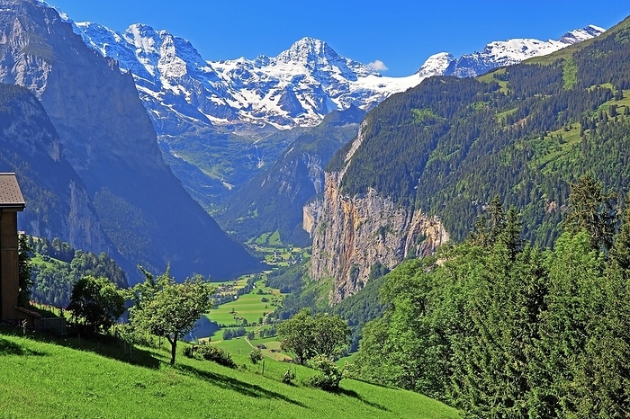 Lauterbrunnen, Switzerland Lauterbrunnen Valley with Breithorn, Wengen, Jungfrau Region, Bernese Oberland, Canton of Bern, UNESCO World Natural Heritage Site, Switzerland, Europe
