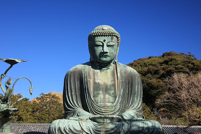 Great Buddha of Kamakura Kanagawa Prefecture