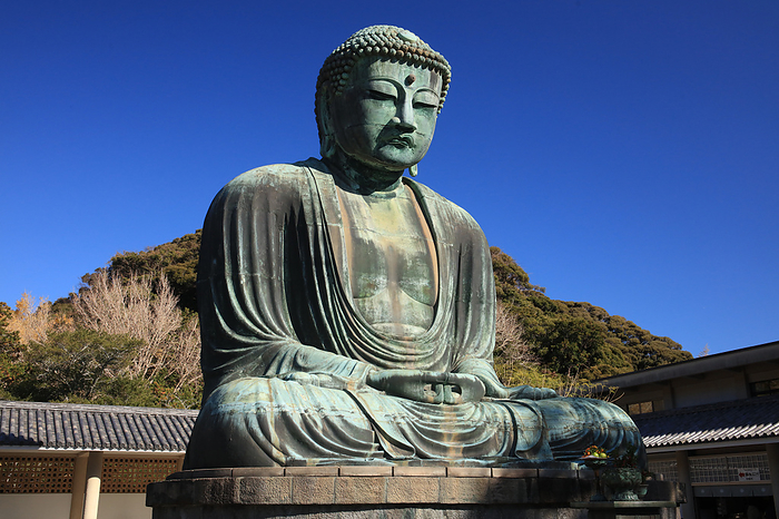 Great Buddha of Kamakura Kanagawa Prefecture