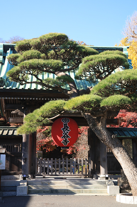 Hase Kannon Gate Kanagawa Pref.
