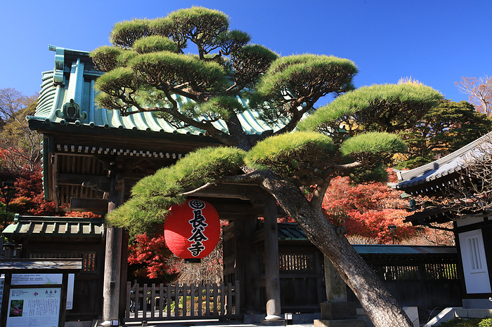 Hase Kannon Gate Kanagawa Pref.