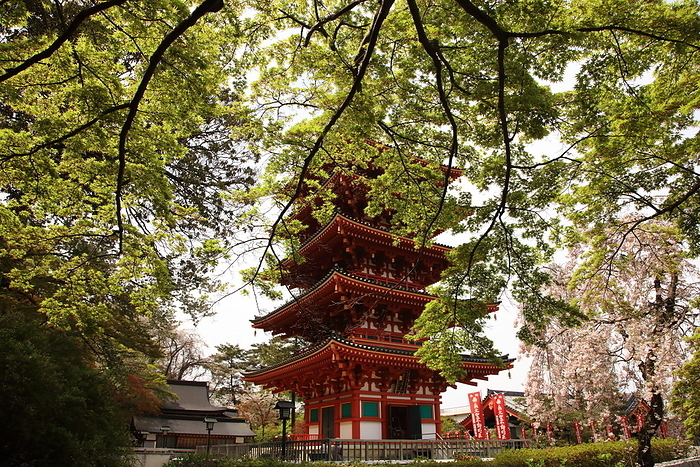 Five-storied pagoda of Takahata Fudo