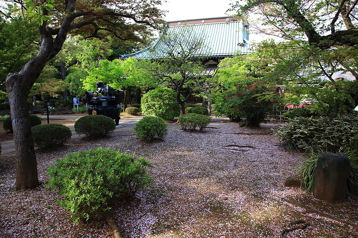Gotokuji Temple Setagaya-ku