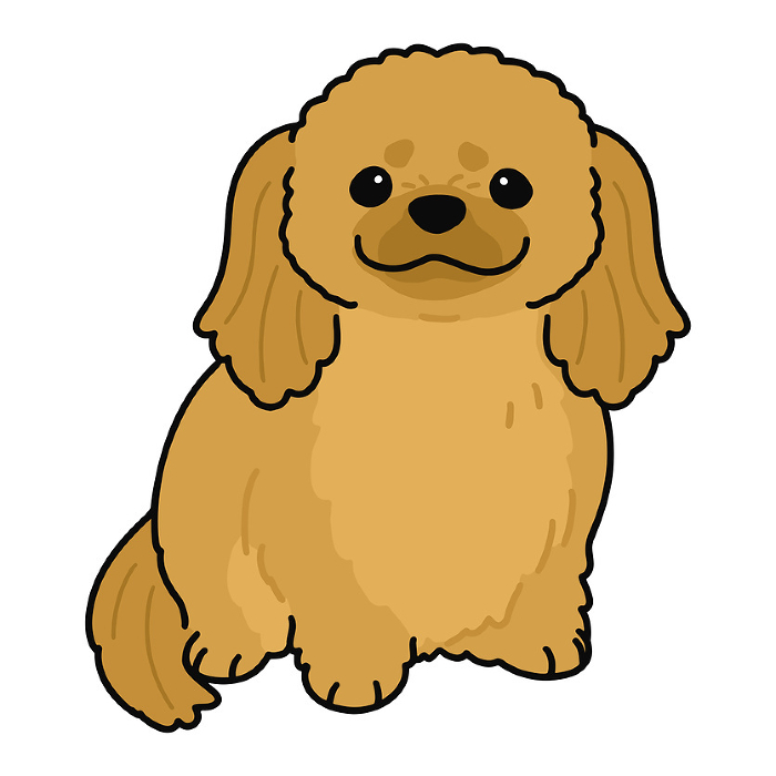 Illustration of simple and cute Pekinese sitting facing front with main line