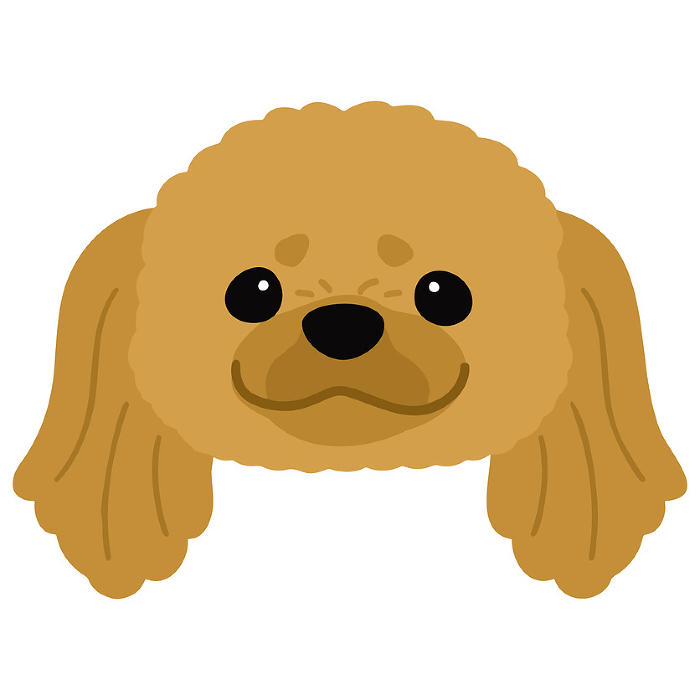 Clip art of simple and cute Pekinese face No main line
