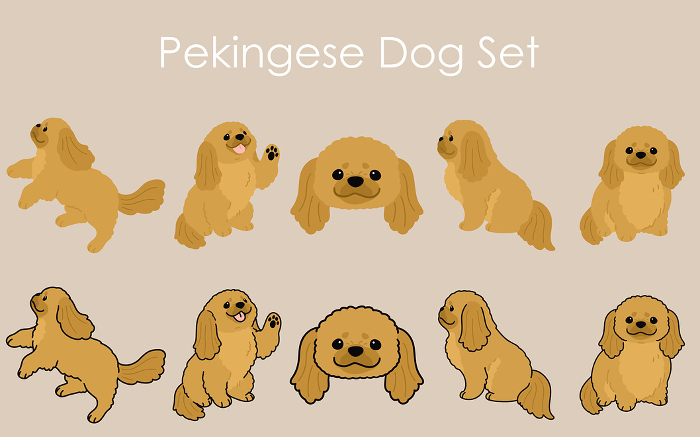 Clip art set of simple and cute Pekinese